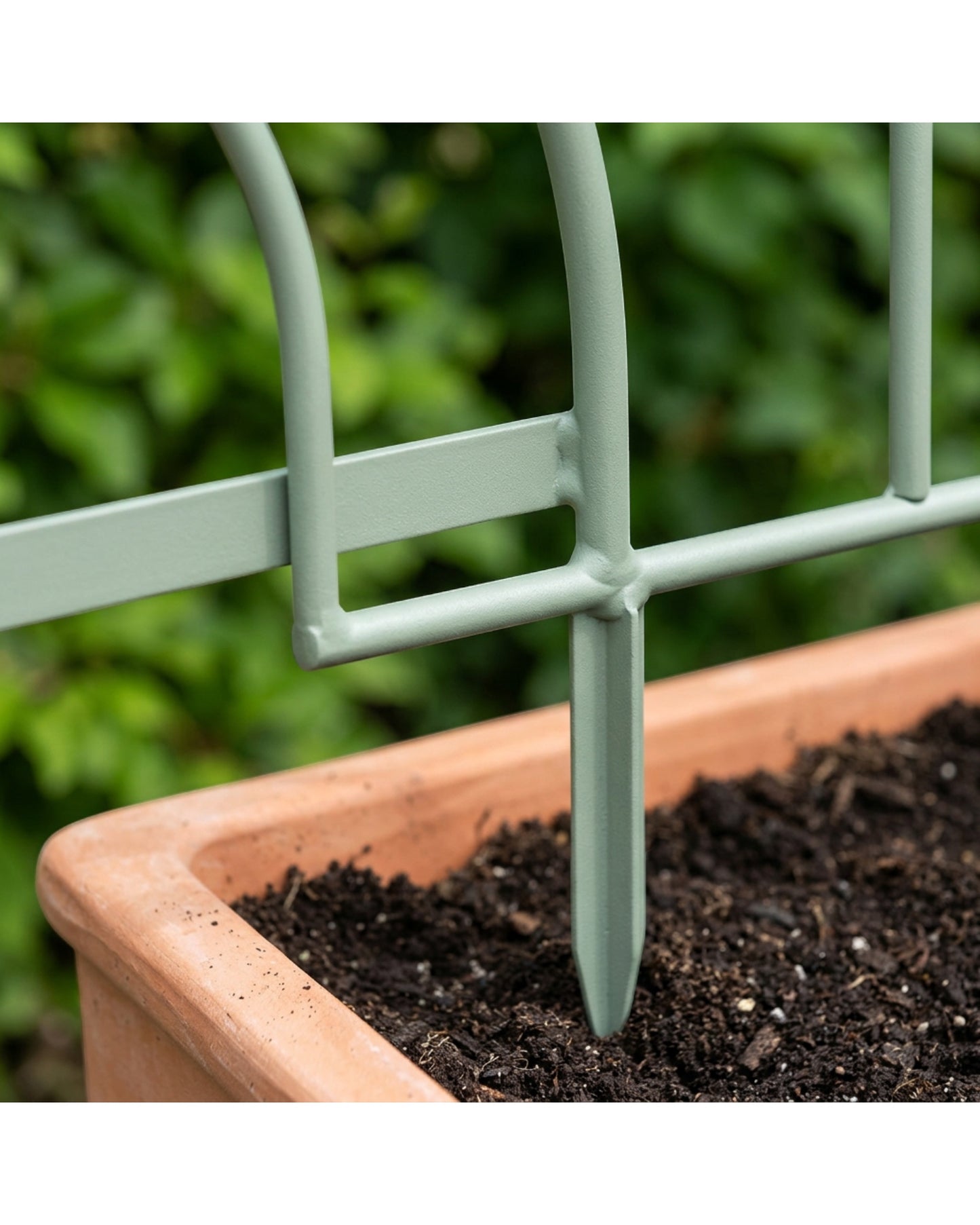 Lisy Arched Steel Plant Trellis 90 x 30 cm Sage Set of 2 - Detail view