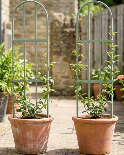 Lisy Arched Steel Plant Trellis 90 x 30 cm Sage Set of 2 - Lifestyle view