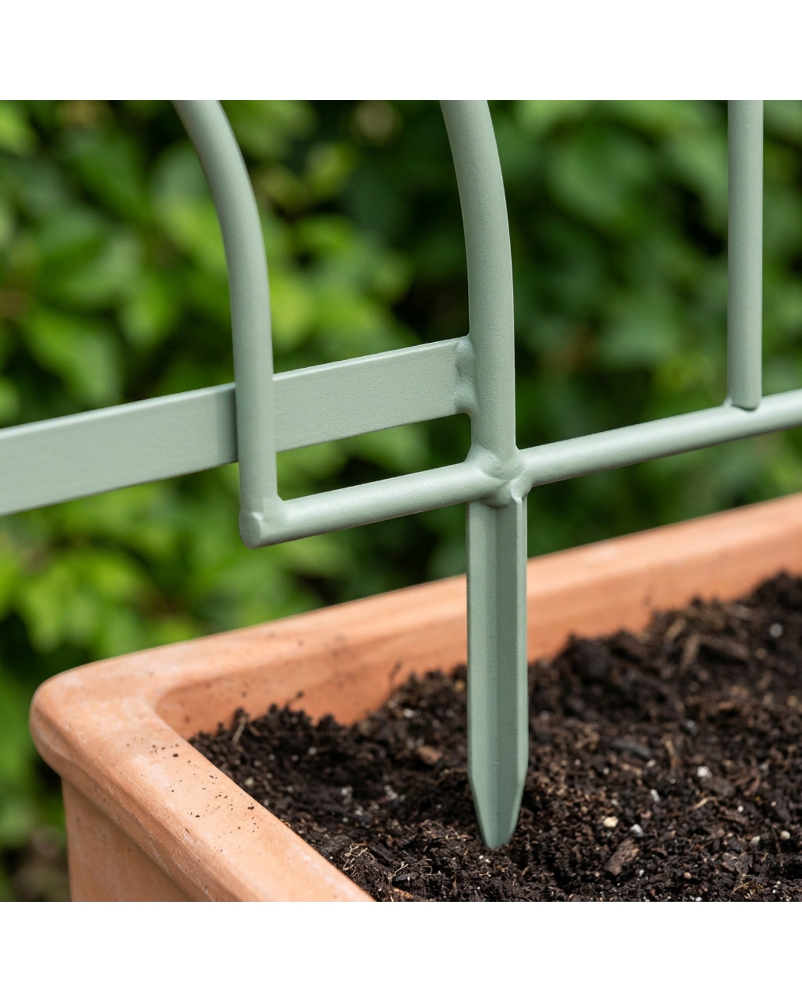 Lisy Arched Steel Plant Trellis 90 x 30 cm Sage Set of 2 - Detail view