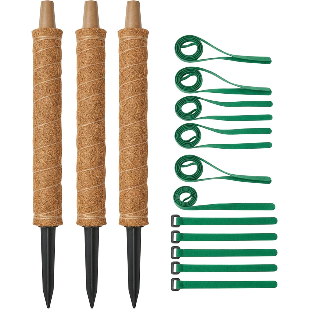 Lisy Stackable Coir Moss Poles 60 cm Set of 3 - Product view