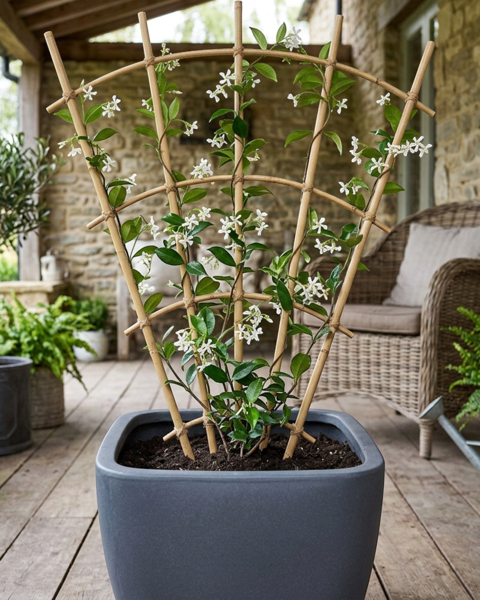 Lisy Fan Bamboo Plant Trellis 75 x 40 cm Natural Set of 2 - Lifestyle view