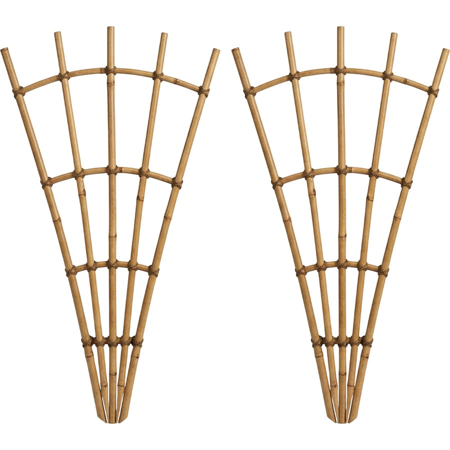Lisy Fan Bamboo Plant Trellis 75 x 40 cm Natural Set of 2